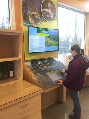 Boreal Center for Bird Conservation 